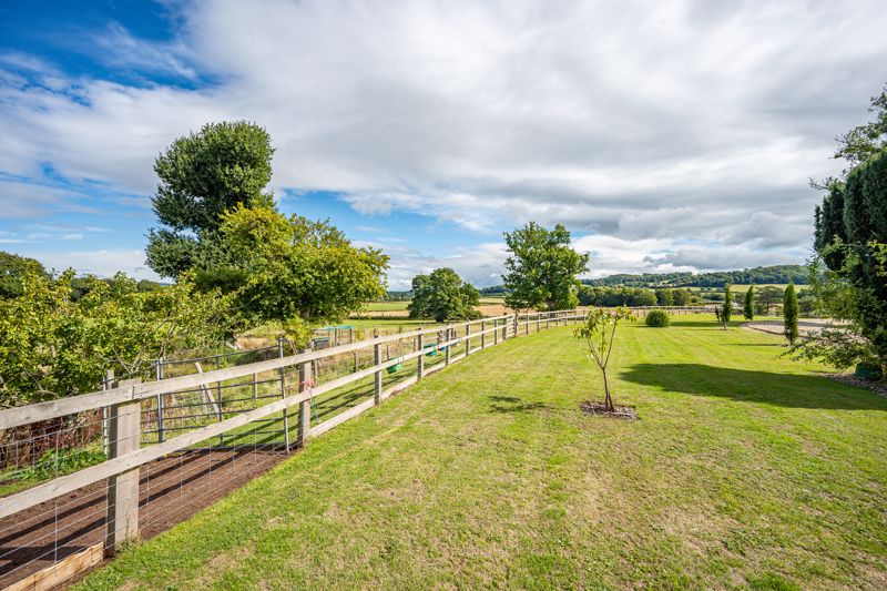 Front Garden- click for photo gallery